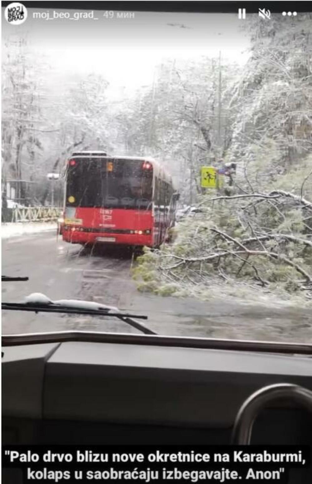 Palo drvo na Karaburmi