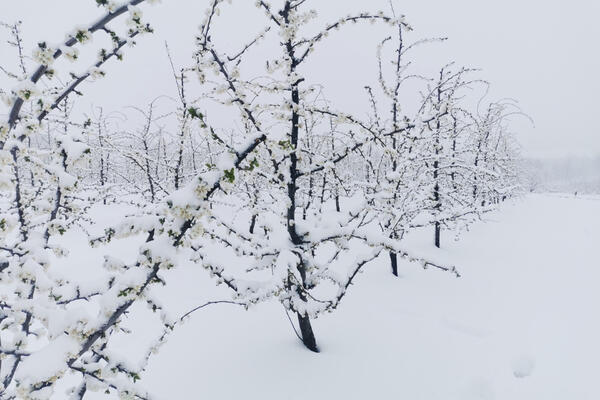 ZIMA STIGLA PRE JESENI: Ogroman sneg zavejao ovaj deo Evrope, palo rekordnih 38 CENTIMETRA