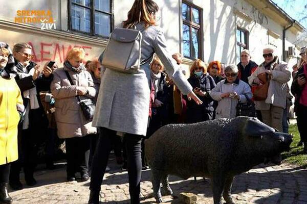 Svake poslednje subote u mesecu možete BESPLATNO DA OBIĐETE SREMSKU MITROVICU: Evo i kako (VIDEO)