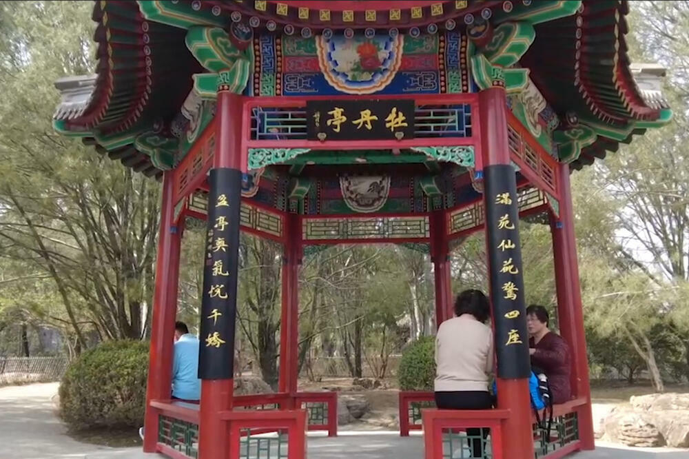 Idemo na izlet! (VIDEO)