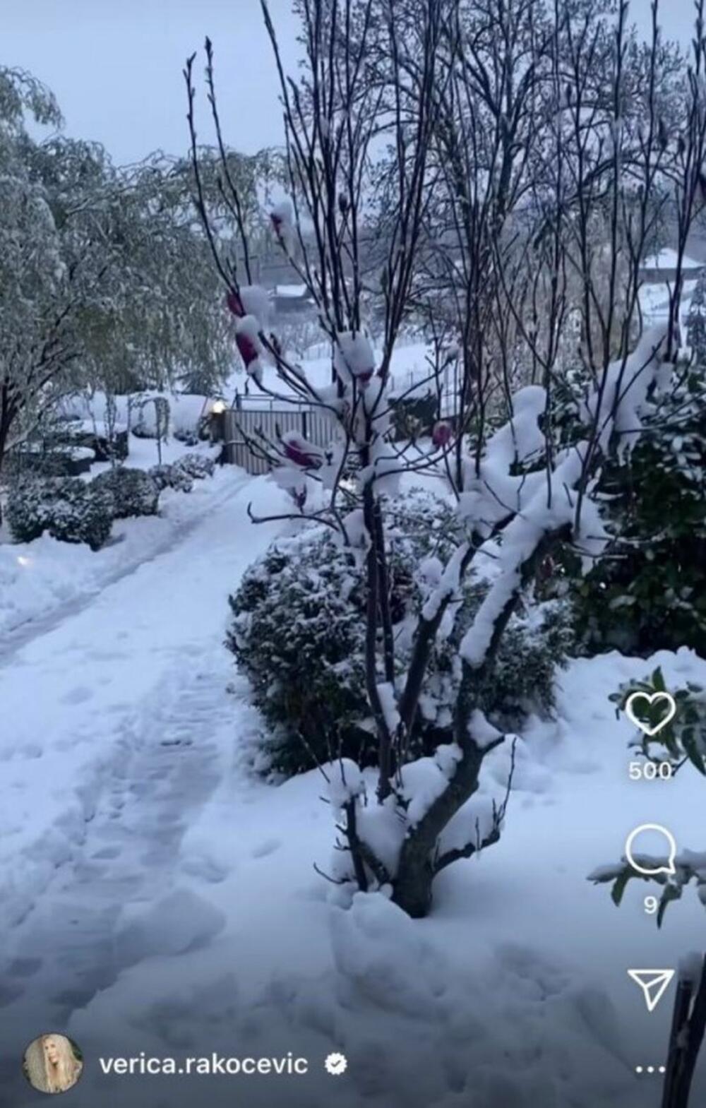 Ona je usnimila celo dvorište