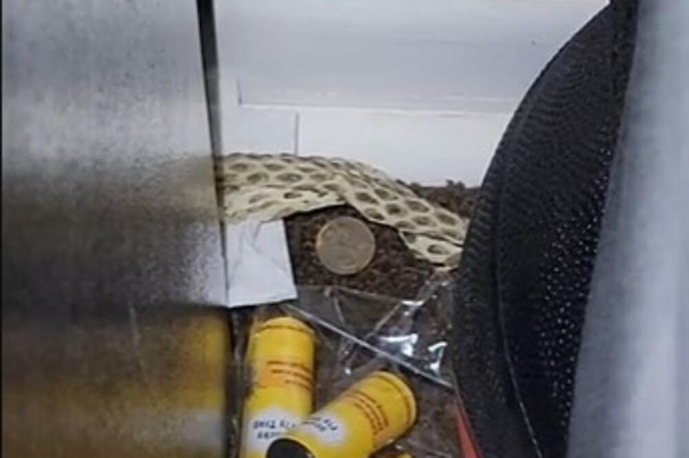 ŽENA UŠLA U SVOJU SPAVAĆU SOBU, PA ZATEKLA NIKAD JEZIVIJI PRIZOR: Ono što je otkrila LEDI KRV U ŽILAMA (VIDEO)