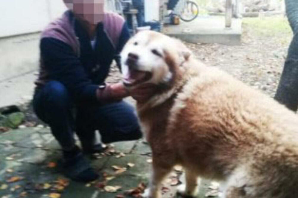 "SVE JE VIŠE PREDATORA U ODELIMA": Psiholog ima upozorenje za SVE RODITELJE posle hapšenja direktora!