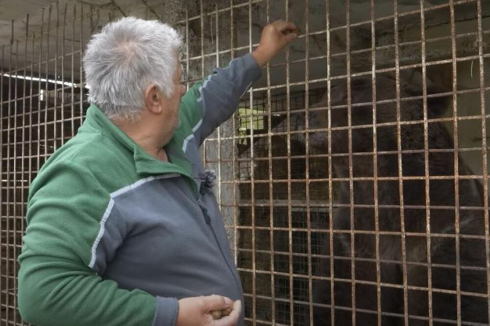 PENZIONER IZ BOSNE IMA MEDVEDE ZA LJUBIMCE: Dobio ih kao MALE, jedan sada ima preko 400 kilograma (VIDEO)