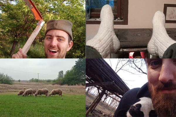 AMERIČKI SAN ZAMENIO ŽIVOTOM NA SELU: Filip pobegao iz AMERIKE i otišao na salaš kako bi čuvao OVCE (FOTO)