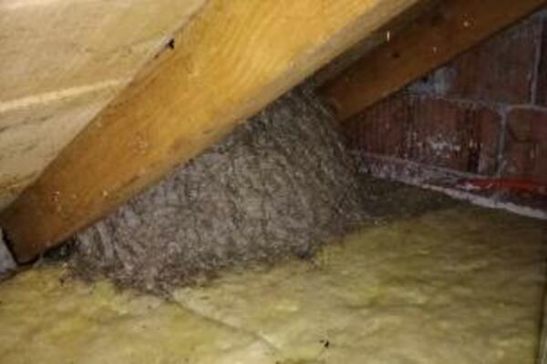 HRVAT USLIKAO HOROR NA TAVANU, PRETRNUO OD STRAHA, A I VI BISTE NA NJEGOVOM MESTU: Obistinile se NAJGORE SLUTNJE