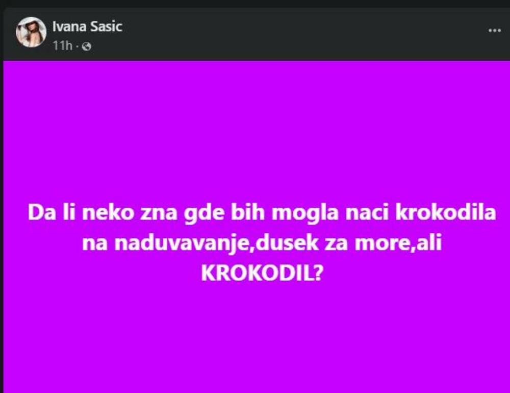 Objava Ivane Šašić