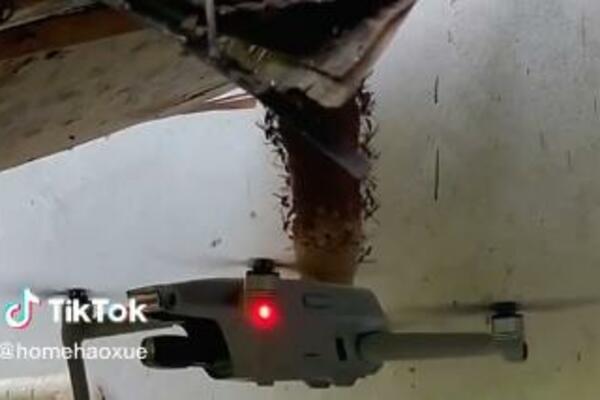 PUSTIO DRON NA OGROMNO GNEZDO STRŠLJENOVA, GLEDAJTE ŠTA SE ZATIM DESILO: Ovaj snimak NIJE ZA SVAKOGA (VIDEO)