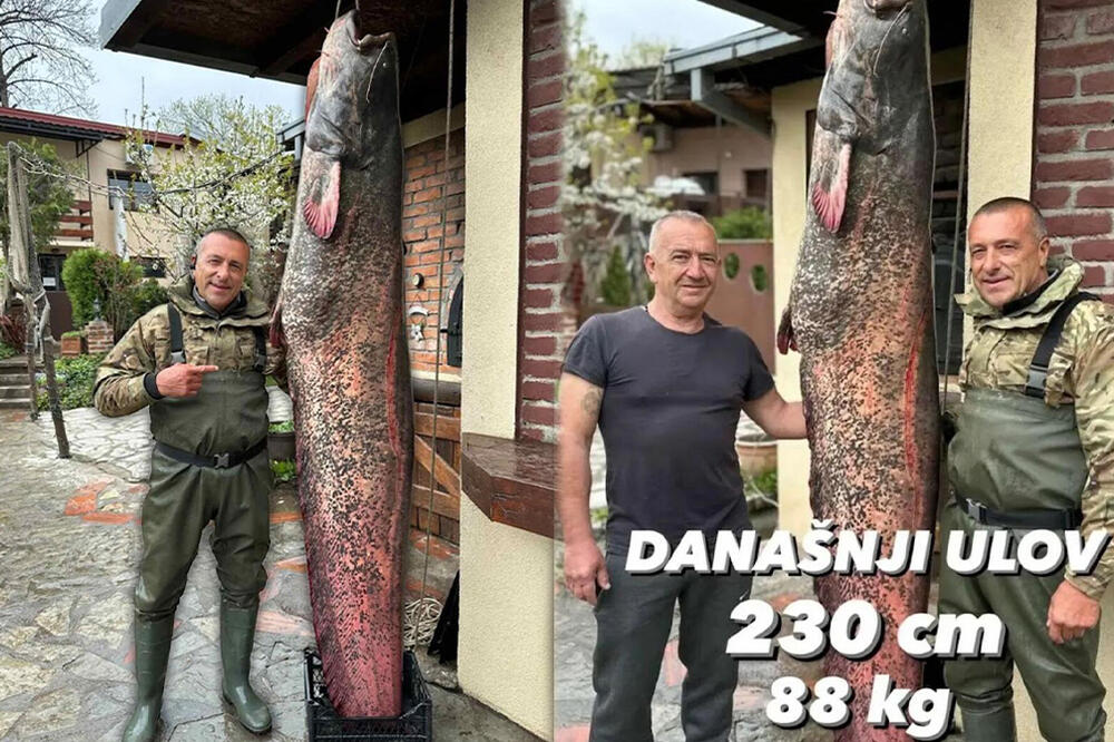 RENATO GRBIĆ IZ DUNAVA IZVUKAO STVORENJE DUGAČKO PREKO 2 METRA: Ljudi gledaju u neverici, au KAKVA NEMAN! (FOTO)