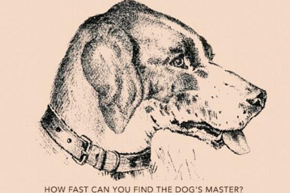 DA VIDIMO KOLIKI STE GENIJE: Evo VIRALNE OPTIČKE ILUZIJE koju NIKO nije mogao da REŠI, GDE je VLASNIK ovog PSA