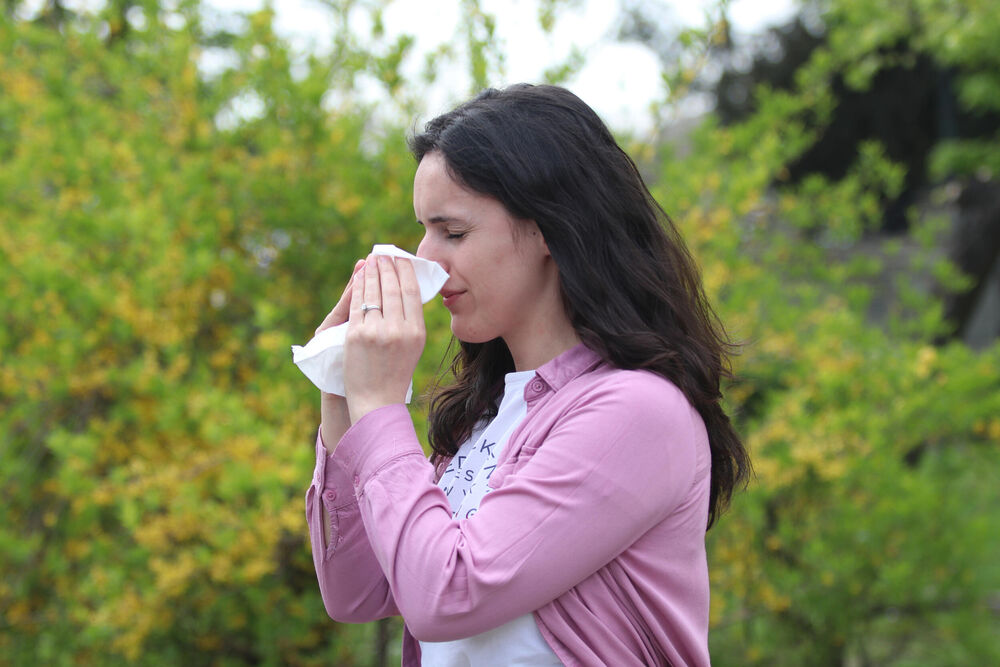 alergija, Polen