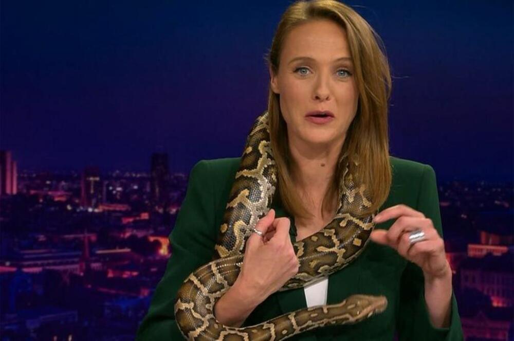 Dok je voditeljka otkazivala emisiju, zmija je odlučila da proveri šta je na njenom levom ramenu