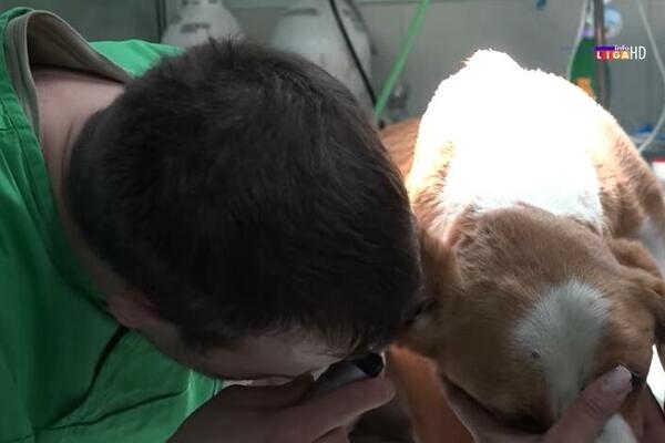 UŽASNO ZLOSTAVLJANJE PSA U IVANJICI ZAPREPASTILO GRAĐANE: Vezao ga za saobraćajni znak i ostavio BEZ IČEGA! (VIDEO)