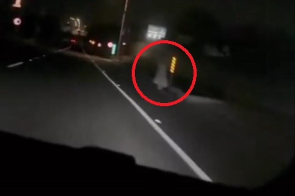 Rusalke su bile vodeni demoni koji su ovako mamili muškarce: Veruje se da ako ugledate jednu, nećete više biti...