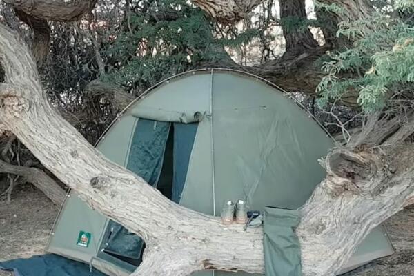 DAČA SE ZAMALO ŠLOGIRAO KADA JE SAZNAO S KIM JE PROVEO NOĆ: Ne samo da PLJUJE nego i nešto JOŠ GORE! (FOTO)