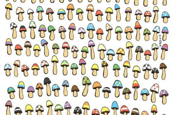 JEDNA PEČURKA NEMA SVOJ PAR, DA LI MOŽETE DA JE NAĐETE? Imate tačno minut da utvrdite koja