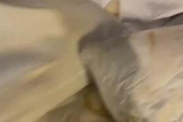 "OVO JE NAJODVRATNIJA STVAR": Žena prespavala u hotelu, a ujutru... (VIDEO)