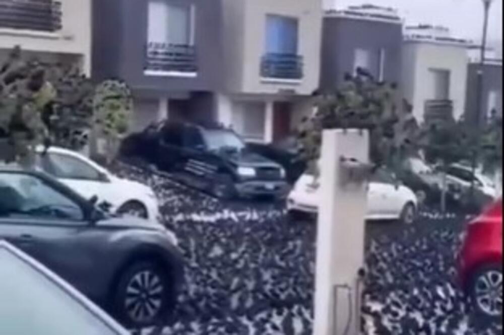APOKALIPTIČNE SLIKE KAO IZ KNJIGE OTKROVENJA: Jato VRANA plaši ljude, STRAHUJU od VELIKOG ZLA kao u Turskoj (VIDEO)