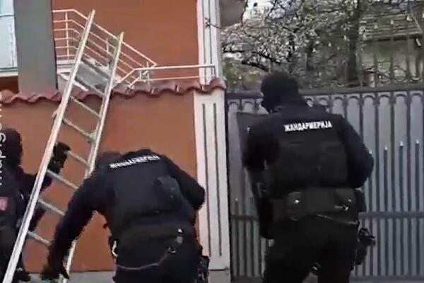 OVO SU UHAPŠENI U AKCIJI MUP I BIA: Terete se za TEŠKA KRIVIČNA DELA