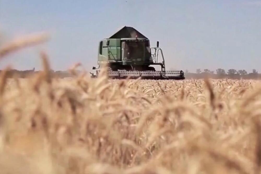 EU: Neprihvatljiva odluka Poljske i Mađarske da zabrane uvoz poljoprivrednih proizvoda iz Ukrajine