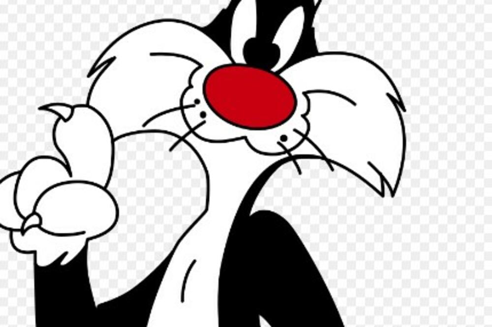 DANAS JE ROĐENDAN OMILJENOG MAČKA NAŠEG DETINJSTVA: Ovo su DETALJI "njegovog života" (VIDEO)