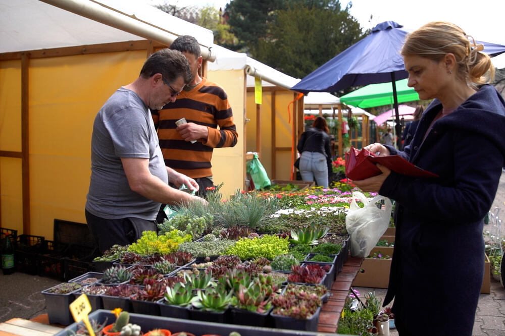 STAVITE OVO U ZEMLJU I GLEDAJTE ČUDO: Cveće će vam BUJATI kao ludo, za par nedelja imaćete BOTANIČKU BAŠTU
