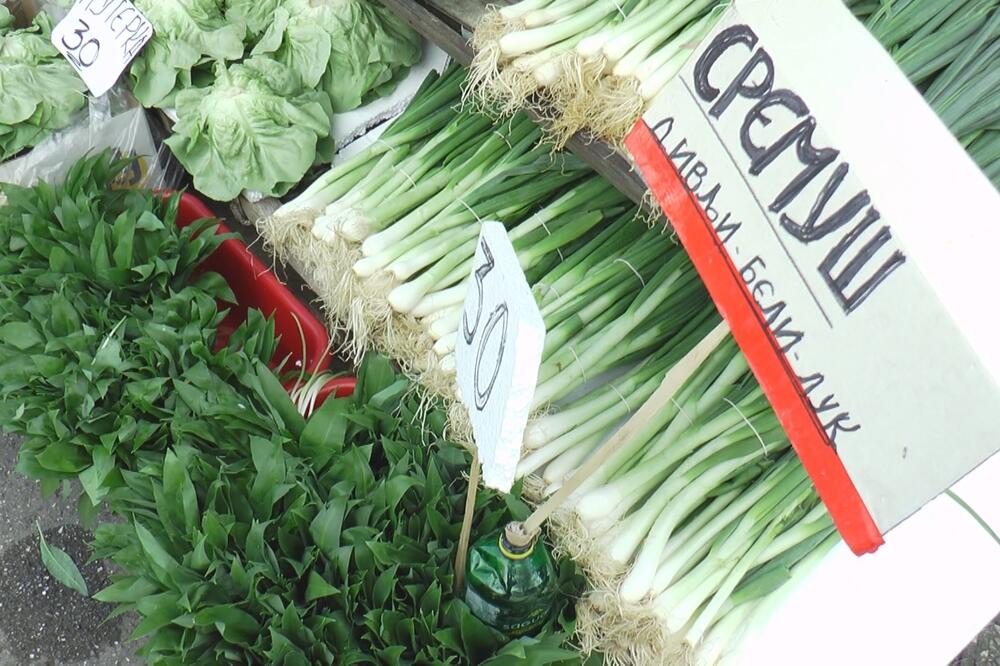 Nema šale! Poznati srpski travar upozorava narod da nikako ne kupuju ovakav sremuš - dobro pogledajte vezicu