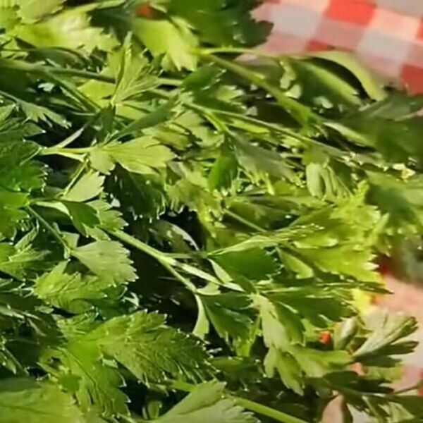 Ubacite peršun u vodu sa sodom bikarbonom i ostaćete bez teksta: Ovaj trik ćete stalno koristiti (VIDEO)