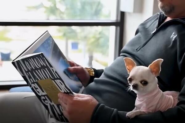 OVO JE NAJMANJI PAS NA SVETU: MANJI je od NOVČANICE od 1 DOLARA, staje tačno u ŠAKU (VIDEO)