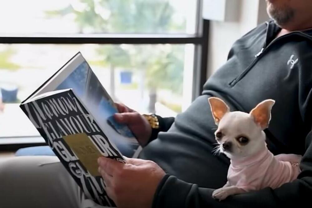 OVO JE NAJMANJI PAS NA SVETU: MANJI je od NOVČANICE od 1 DOLARA, staje tačno u ŠAKU (VIDEO)