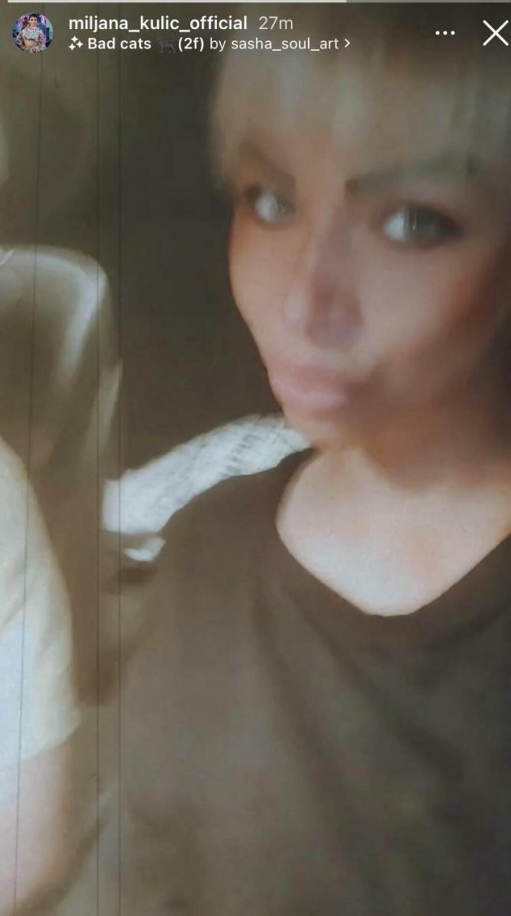 Kulićevu je nakon odlaska sa imanja u Šimanovcima dočekao njen bivši dečko Nenad Macanović Bebica