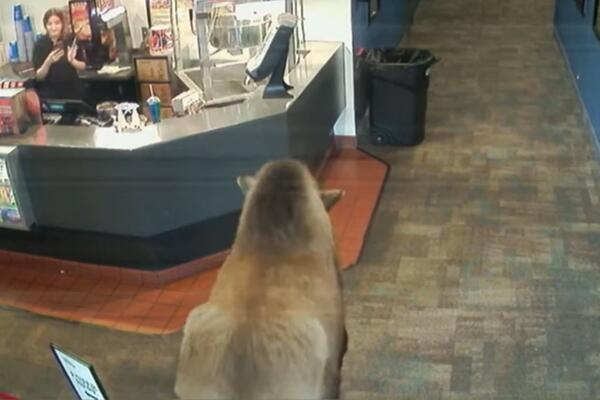 GRDOSIJA UPALA U BIOSKOP JER JE OSETILA MIRIS KOKICA: Fino se POČASTIO, a reakcija radnice je APSOLUTNI HIT (VIDEO)