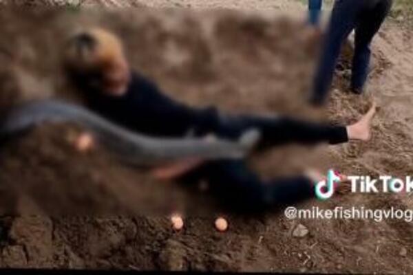 LEŽAO JE NA ZEMLJI DOK JE ONA KOPALA, A ONDA JE OSETIO DA MU NEŠTO ŠETA PO RUCI: Nije mogao da se pomeri... (VIDEO)