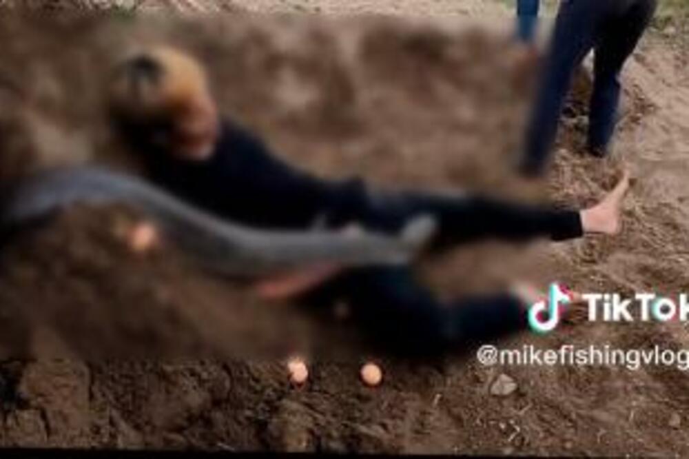 LEŽAO JE NA ZEMLJI DOK JE ONA KOPALA, A ONDA JE OSETIO DA MU NEŠTO ŠETA PO RUCI: Nije mogao da se pomeri... (VIDEO)