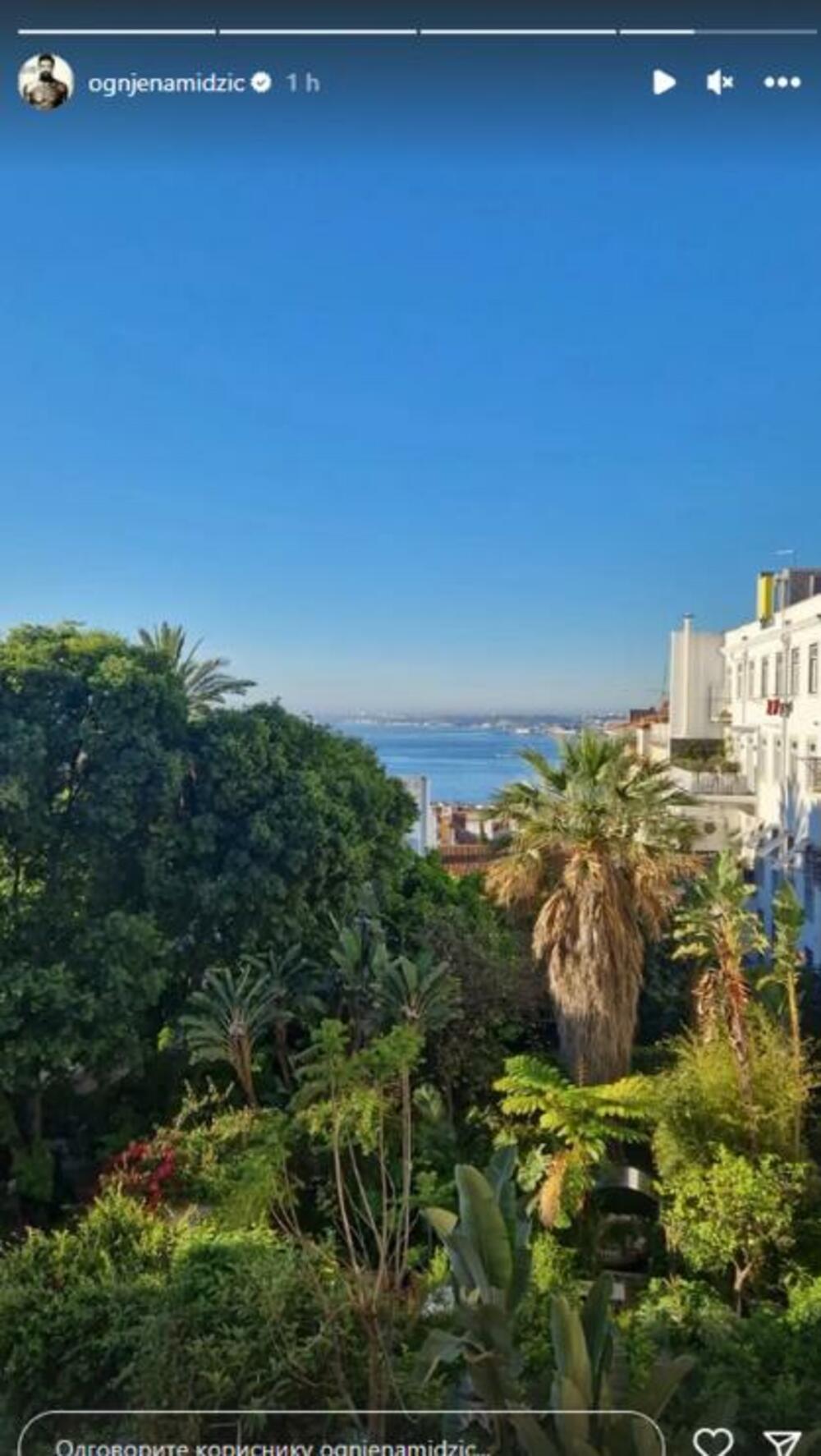 Objava Ognjena Amidžića