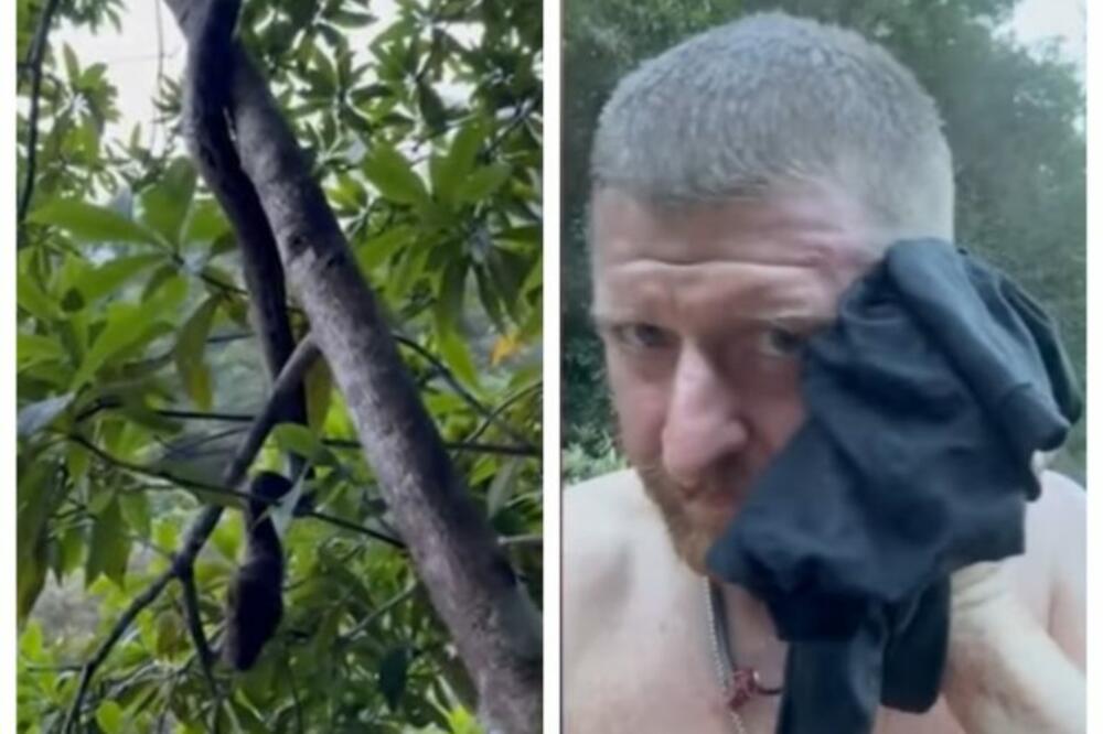 SNIMAK GLEDAJTE NA SVOJU ODGOVORNOST, UZNEMIRUJUĆE: Naišao je na pitona od preko 2 metra, usledio je horor