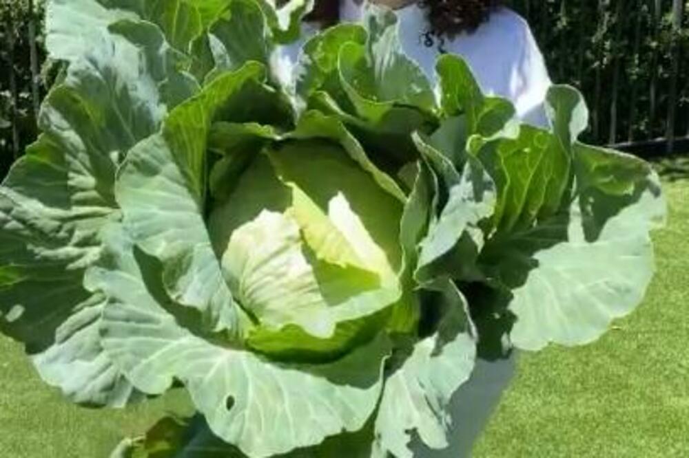 UZ OVU SUPU JE OPRA VINFRI SKINULA 20 KILOGRAMA: Zovu je ČAROBNOM, nedeljno se gubi i po 5 KILA