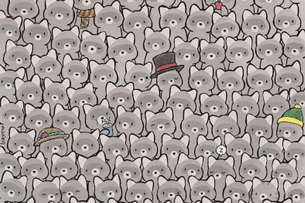 AKO PRONAĐETE MAČKU ZA 15 SEKUNDI VI STE GENIJE: Crtež poznatog karikaturiste ZALUDEO SVET