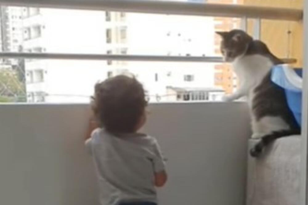 DEČAK HTEO DA SE POPNE NA OGRADU, A ONDA MU JE PRIŠLA MAČKA: Spasila mu je život, gledajte samo (VIDEO)