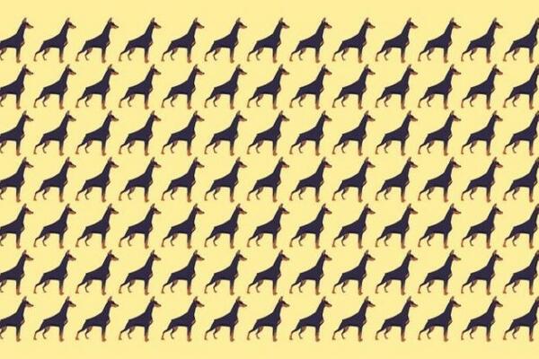 TESTIRAJTE IQ ZA 20 SEKUNDI: Da li ste našli PSA koji DRUGAČIJE STOJI? (ODGOVOR JE U TEKSTU)