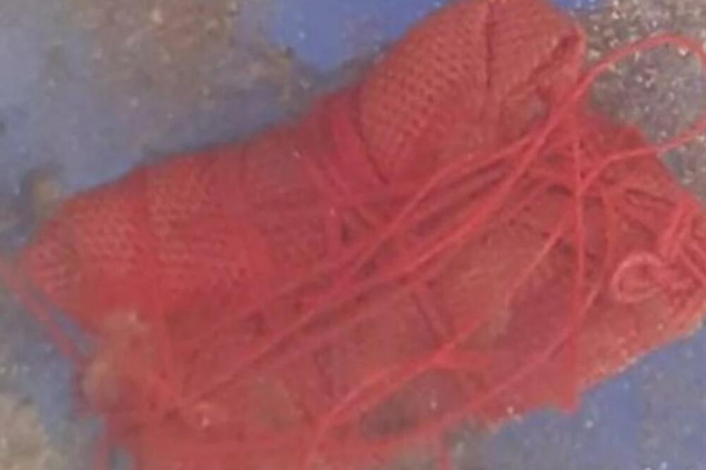 SRPKINJA PRONAŠLA CRVENI SMOTULJAK NA POSLU, TELO JOJ UTRNULO: Svi je u strahu SAVETOVALI, "ne pali, nikako" (FOTO)