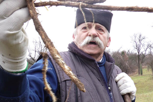 ČUVENI TRAVAR MIRKO PRAVI SKOČKA ZA POTENCIJU ZA KOJIM SU MUŠKARCI POLUDELI: Tvrdi da je bolje OD VIJAGRE!