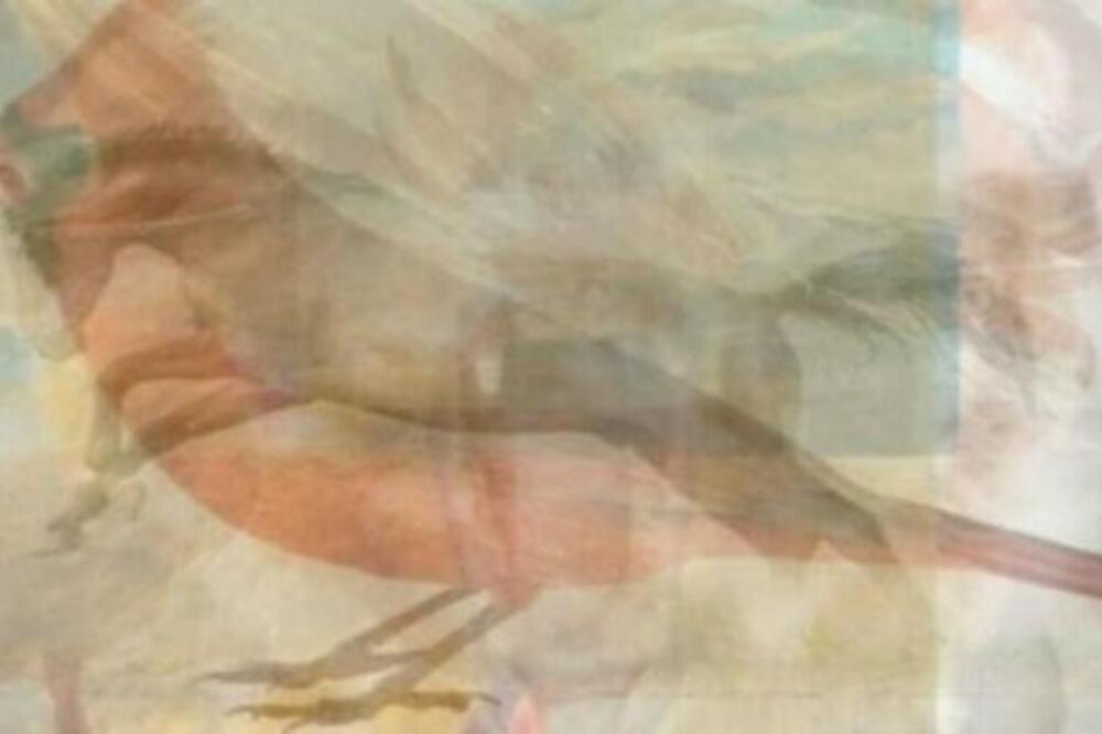 NAJNOVIJI TEST LIČNOSTI: Životinja koju prvo vidite, otkriva vašu podsvest