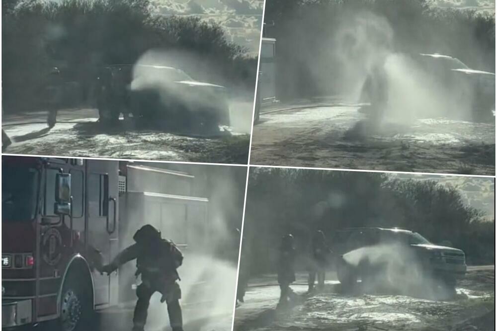 MAJKU NAPAO ROJ PČELA UBICA, DOBILA 75 UBODA DA BI SPASILA DETE: Evo šta da uradite ako se vama to desi (VIDEO)