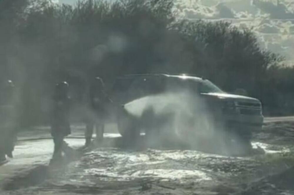 ROJ PČELA MAJKU IZUJEDAO 75 PUTA, JEDNIM POTEZOM SPASILA DECU: Ovo nikako NE SMETE da radite u toj situaciji! VIDEO