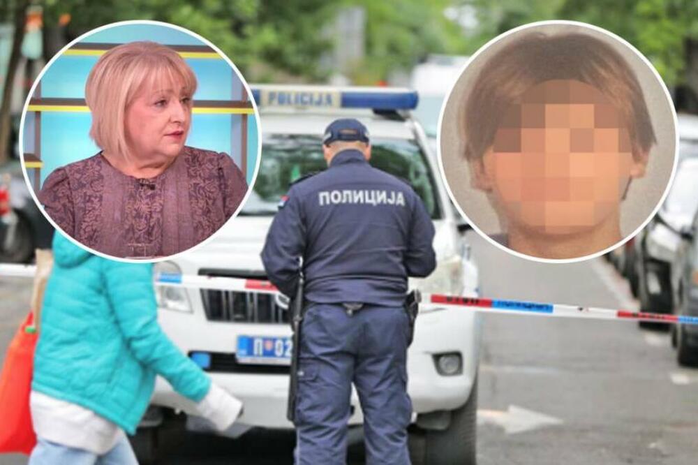 DRŽAVA IMA MOGUĆNOST DA KAZNI DEČAKA IZ "RIBNIKARA"? Stručnjaci objasnili na koji način MOŽE DA ODGOVARA!