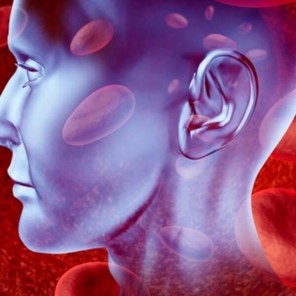 Doktori otkrili koja namirnica je eliksir za mozak, a Srbi je ne vole! Posle nje radi zdravije i brže