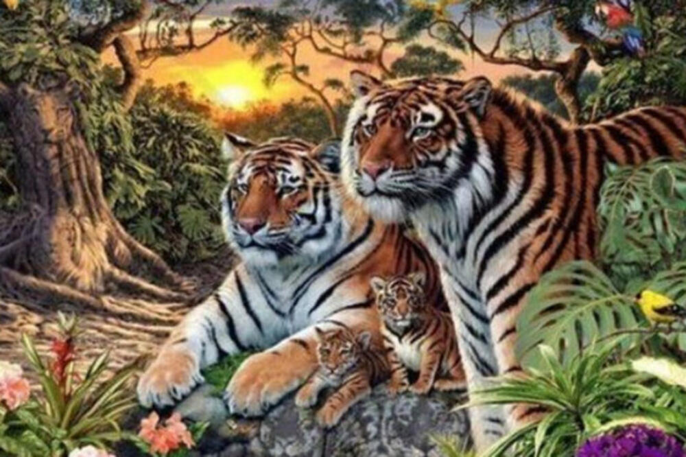 SAMO 1 POSTO LJUDI MOŽE DA PRONAĐE SVE TIGROVE NA SLICI: Ovaj test je SVAKOGA NAMUČIO (FOTO)