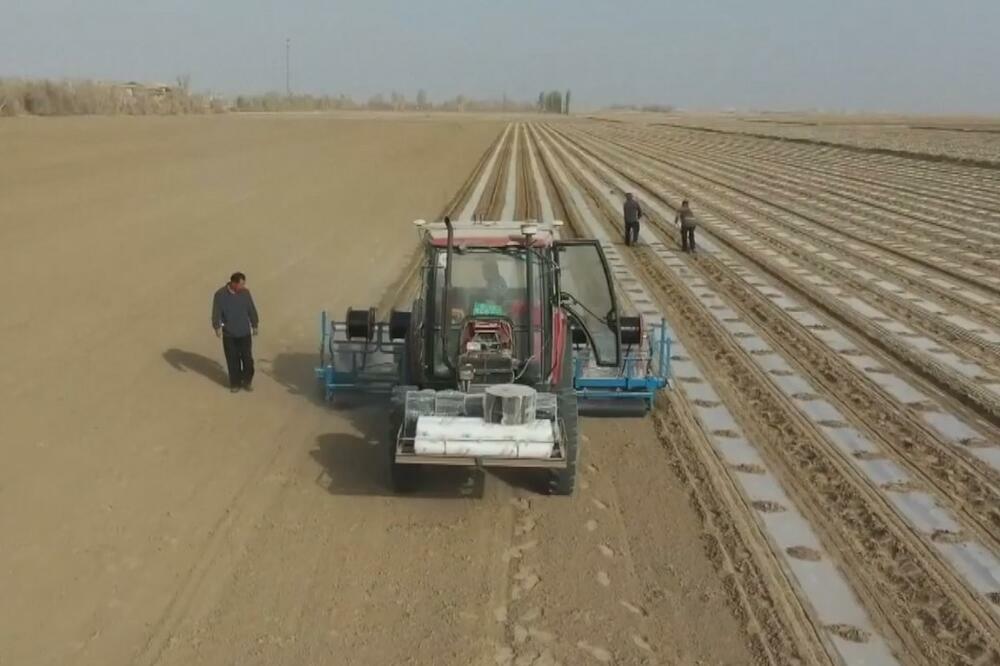 Tehnologija podstiče kvalitetan razvoj pamučne industrije u Sinđijangu