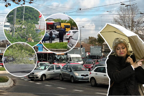 U BORČI I NA ZVEDARI PALO DRVO, NA AUTOKOMANDI ODVALJEN DEO BILBORDA: Košava divljala Beogradom (FOTO/VIDEO)